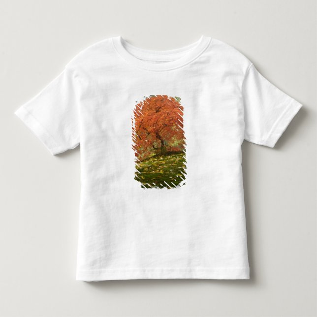 Camiseta De Bebé Arce japonés en color de otoño (Anverso)