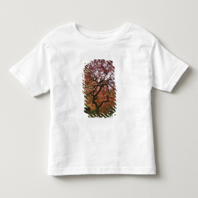Camiseta De Bebé Arce japonés en color de otoño (Anverso)
