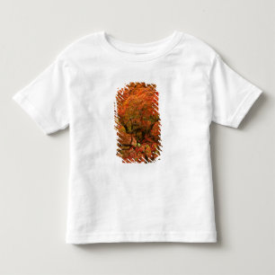 Camiseta De Bebé Arce japonés en color de otoño