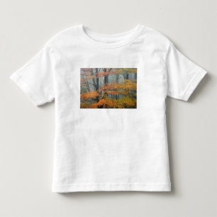 Camiseta De Bebé Arce rojo, Acer rubrum, retrato en niebla