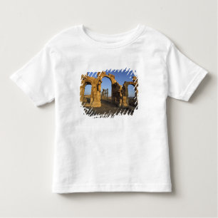 Camiseta De Bebé Arco Monumental, Palmira, Homs, Siria