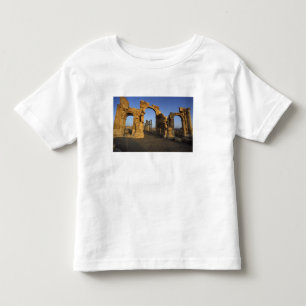Camiseta De Bebé Arco Monumental, Palmira, Homs, Siria