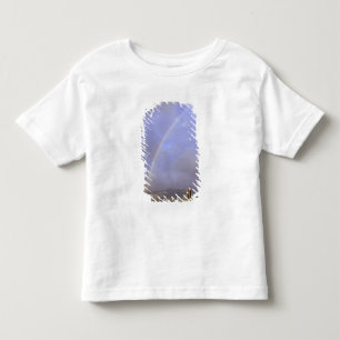 Camiseta De Bebé Arcoíris sobre Honolulu, Hawái, EE. UU.