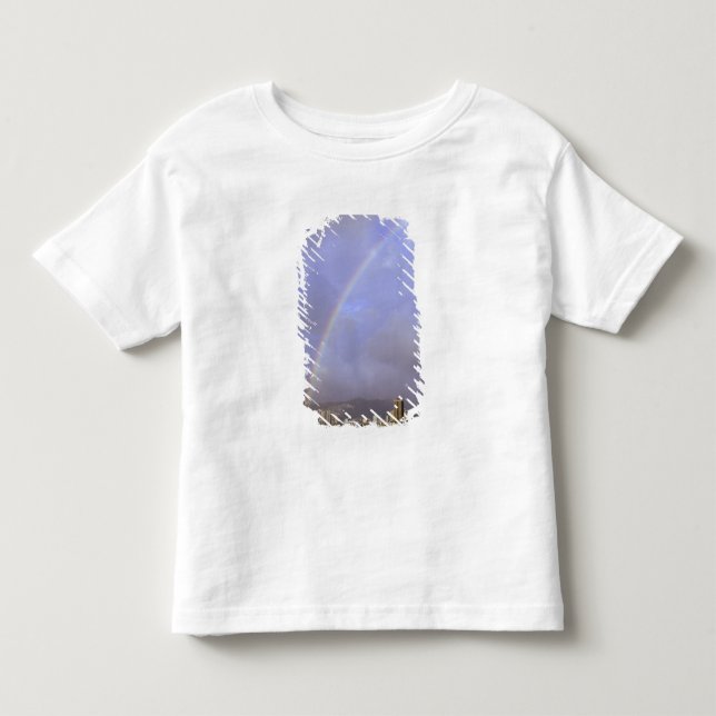 Camiseta De Bebé Arcoíris sobre Honolulu, Hawái, EE. UU. (Anverso)