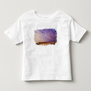 Camiseta De Bebé Área Recreativa Nacional de las Dunas de Oregón,