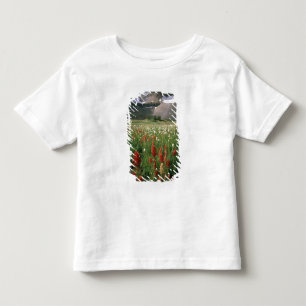 CAMISETA DE BEBÉ ÁREA VIRGEN DE MOUNT TIMPANOGOS, UT, EE. UU.,
