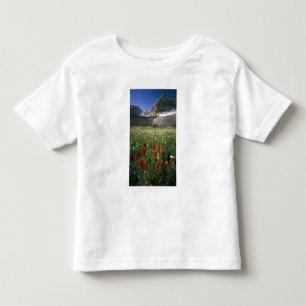 CAMISETA DE BEBÉ ÁREA VIRGEN DE MOUNT TIMPANOGOS, UT, EE. UU.,