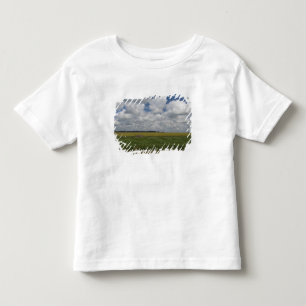 Camiseta De Bebé Argentina, Buenos Aires, San Antonio de Areco.