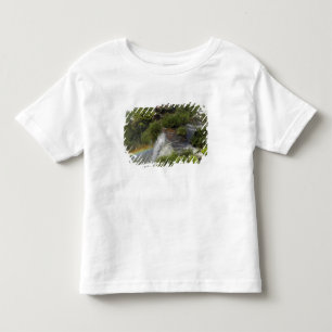 Camiseta De Bebé Argentina, Cataratas del Iguazú. Arcoíris en Iguaz