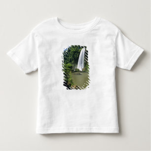 Camiseta De Bebé Argentina; Igwazu; Cataratas Igwazu. Salto dos