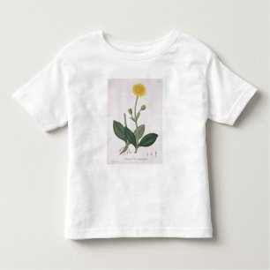 Camiseta De Bebé Árnica Montana de "Phytographie Medicale" por Jos