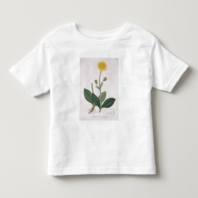 Camiseta De Bebé Árnica Montana de "Phytographie Medicale" por Jos (Anverso)