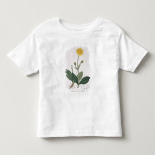 Camiseta De Bebé Árnica Montana de "Phytographie Medicale" por Jos
