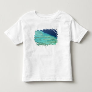Camiseta De Bebé Arrecife Malolo Barrier en la isla de Malolo, Fiyi