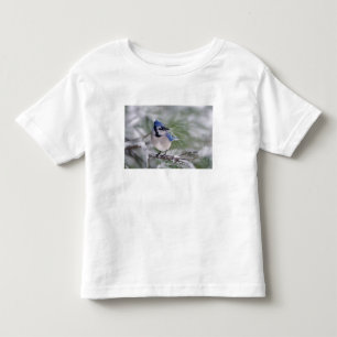 Camiseta De Bebé Arrendajo azul, Cyanocitta cristata