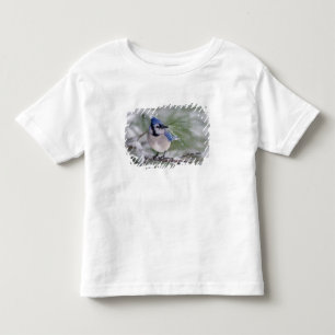 Camiseta De Bebé Arrendajo azul, Cyanocitta cristata
