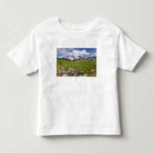 Camiseta De Bebé Arroyo Edith y praderas de flores silvestres en Pa