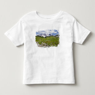 Camiseta De Bebé Arroyo Edith y praderas de flores silvestres en Pa