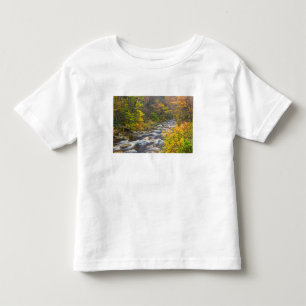Camiseta De Bebé Arroyo Rugiente en otoño en Green 2 de Vermont