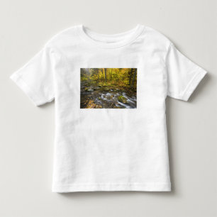 Camiseta De Bebé Arroyo Sanderson. Bosque Estatal Chester-Blanford.