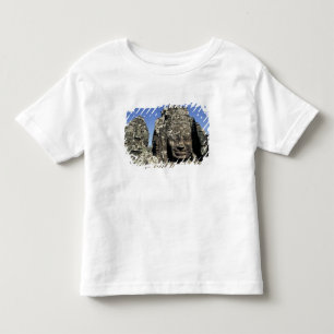 Camiseta De Bebé Asia, Camboya, Siem Reap, Angkor Thom (finales del