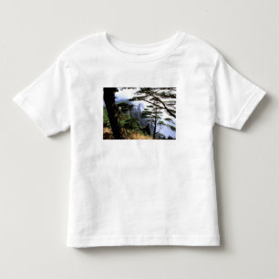 Camiseta De Bebé Asia, China, Huanshan. El monte amarillo
