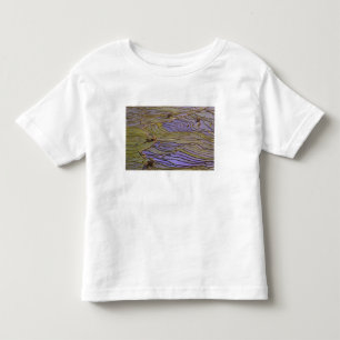 Camiseta De Bebé Asia, China, provincia de Yunnan, Yuanyang. Inunda