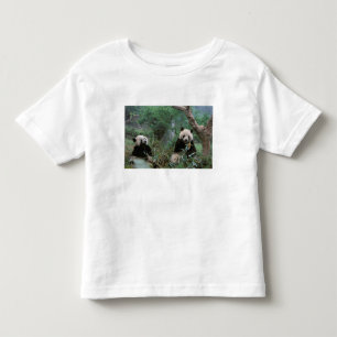 Camiseta De Bebé Asia, China, Santuario de pandas gigantes de Cheng
