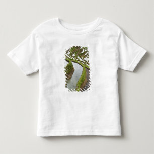 Camiseta De Bebé Asia, China, Yunnan, Yuanyang. Arroz inundado