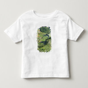 Camiseta De Bebé Asia, China, Yunnan, Yuanyang. Patrón de verde