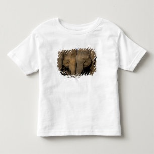 Camiseta De Bebé Asia, India, Parque Nacional Nargahole. Indio