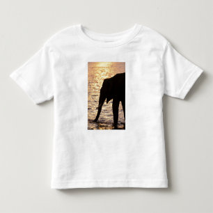 Camiseta De Bebé Asia, India, Parque Nacional Nargahole. Indio
