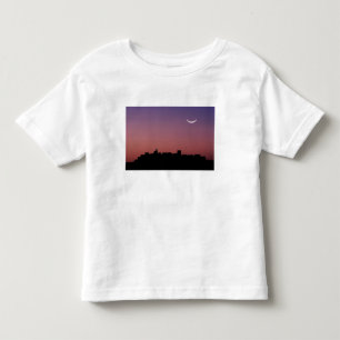 Camiseta De Bebé Asia, India, Rajasthan, Jaipur. Una medialuna
