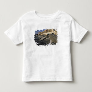 Camiseta De Bebé Asia, Irán, Isfahán. Puente Pol-e Khaju.