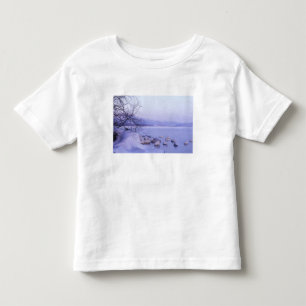 Camiseta De Bebé Asia, Japón, Hokkaido, Akan NP, Cisnes enormes