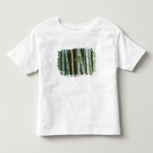 Camiseta De Bebé Asia, Japón, Kyoto, Arashiyama, Sagano, Bambú