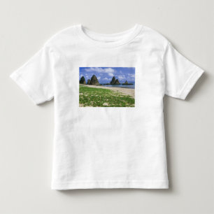 Camiseta De Bebé Asia, Japón, Okinawa, costa de Yambaru, mar