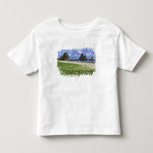 Camiseta De Bebé Asia, Japón, Okinawa, costa de Yambaru, mar