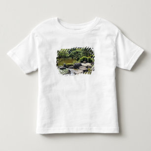 Camiseta De Bebé Asia, Japón, Tokio. El jardín japonés en el