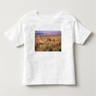 Camiseta De Bebé Asia, Mongolia, desierto de Gobi, Gran Gobi