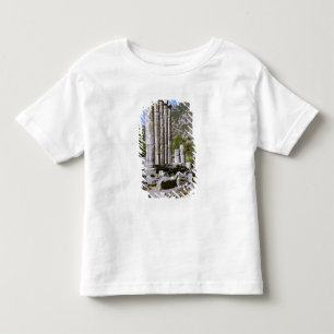 Camiseta De Bebé Asia, Oriente Medio, Turquía, Efeso. Templo de