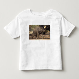 Camiseta De Bebé Asia, Tailandia, Lampang Inclinándose con sombrero