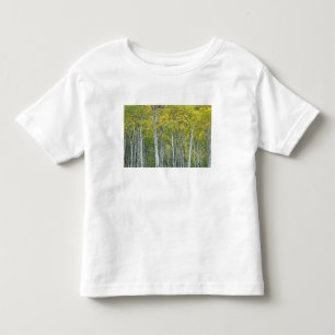 Camiseta De Bebé Aspen en otoño en el paso McClure en Colorado.