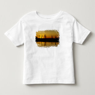 Camiseta De Bebé Atardecer, Billabong de Agua Amarilla
