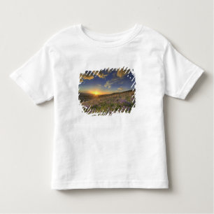 Camiseta De Bebé Atardecer sobre las montañas Bitterroot y vastas