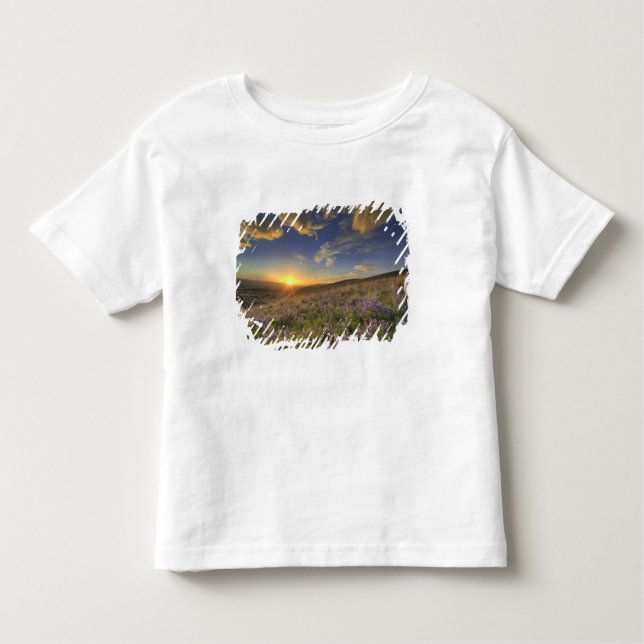 Camiseta De Bebé Atardecer sobre las montañas Bitterroot y vastas (Anverso)