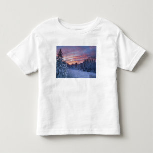 Camiseta De Bebé Atardecer vívido pinta el cielo sobre invernal