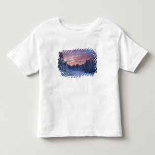 Camiseta De Bebé Atardecer vívido pinta el cielo sobre invernal