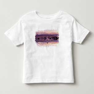 Camiseta De Bebé Atlántico Norte, Islandia, Breioamerkurjokull