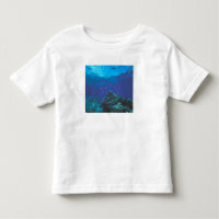 Australia, Gran Barrera de Coral. Enjambre Púrpura